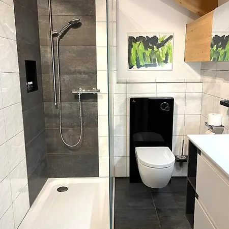 Studio Casa Ursin Val Lumnezia Apartment *